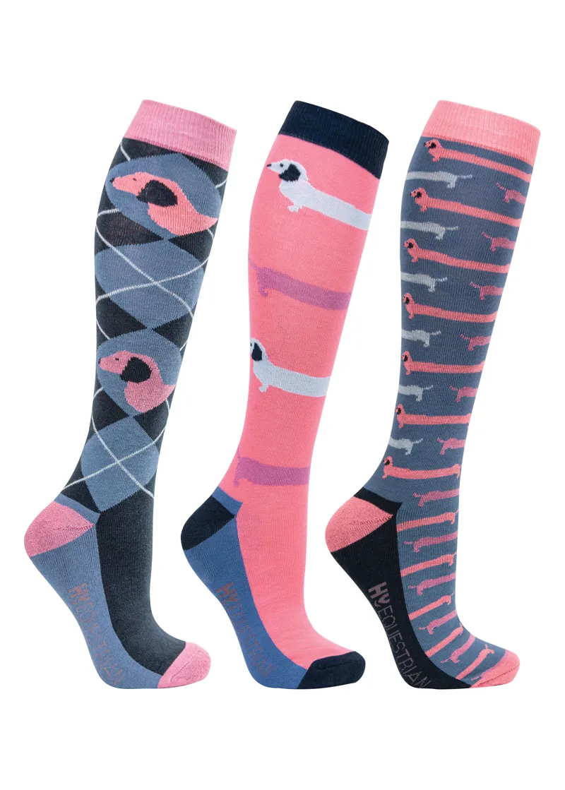 Hy Equestrian Dorris The Dachshund Socks - Pack of 3 - Riviera/Navy
